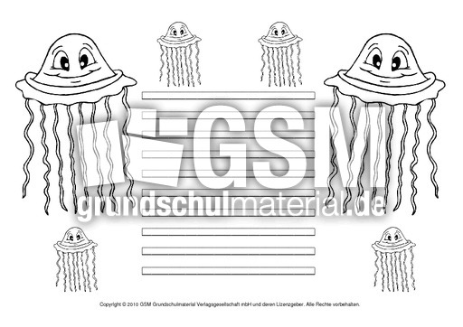 Qualle-mit-Lineatur-2.pdf